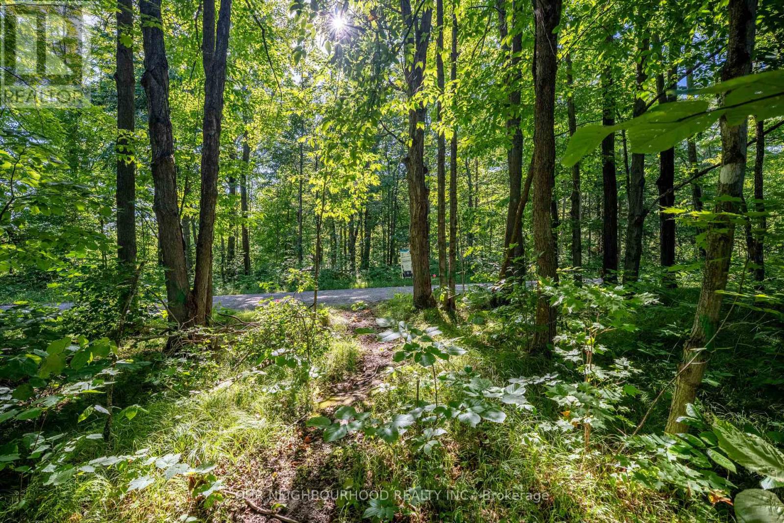 114 Baxter Road Property Photo 38