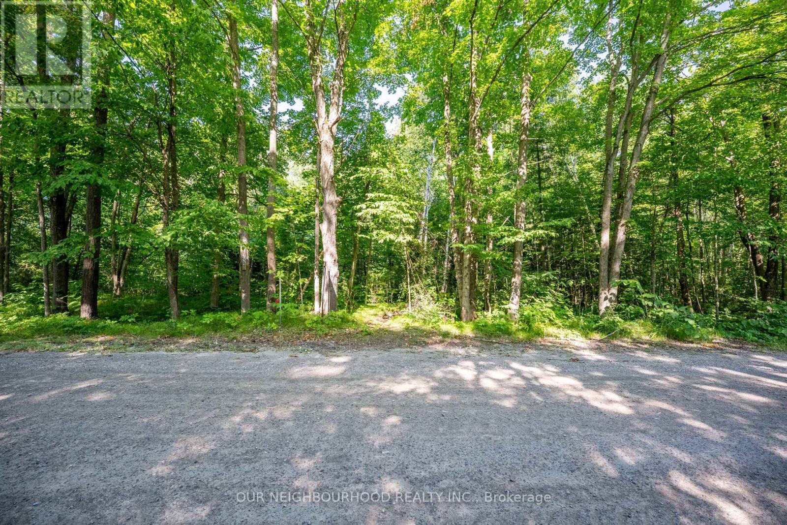 114 Baxter Road Property Photo 39