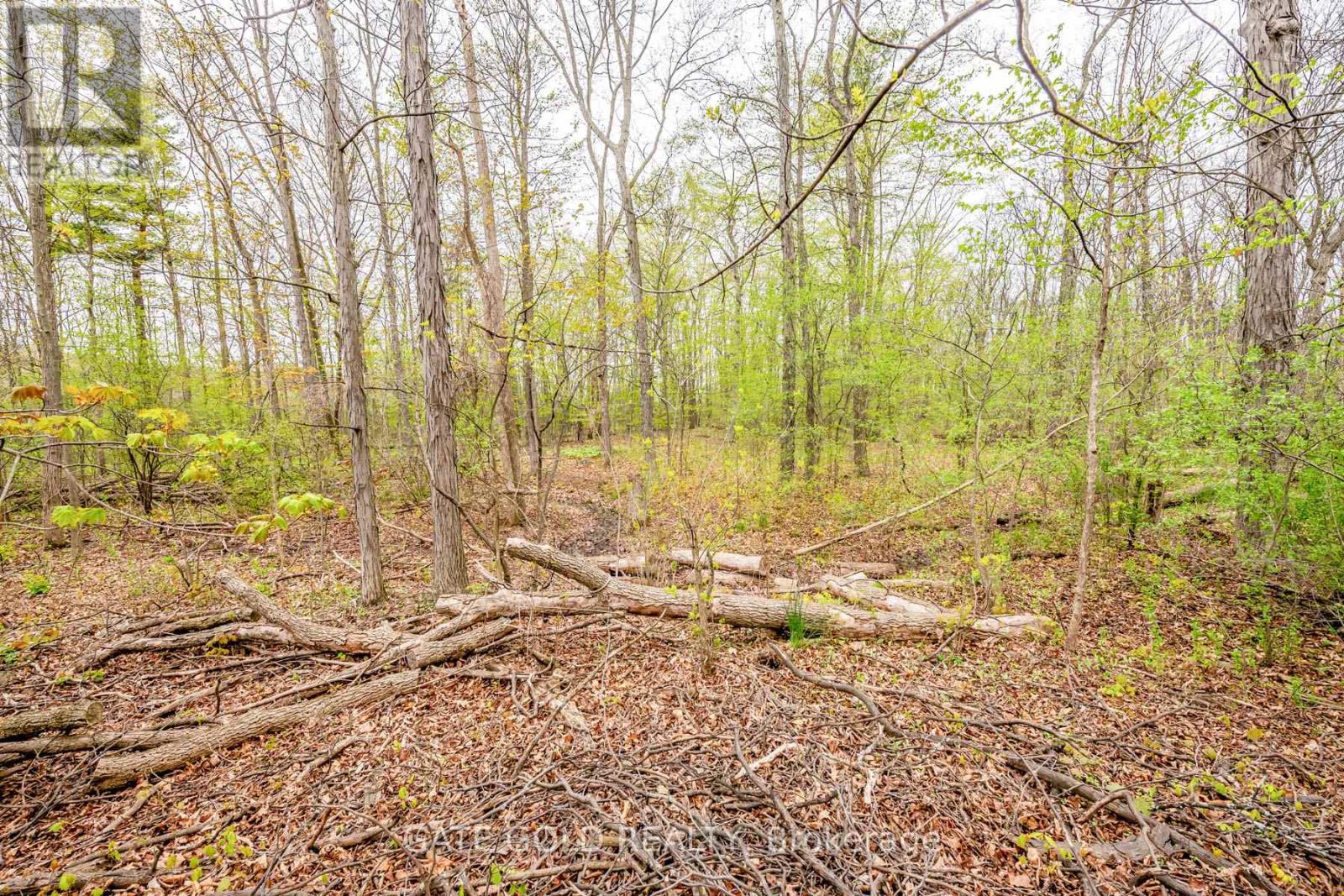 122 Forest Hill Road Property Photo 34