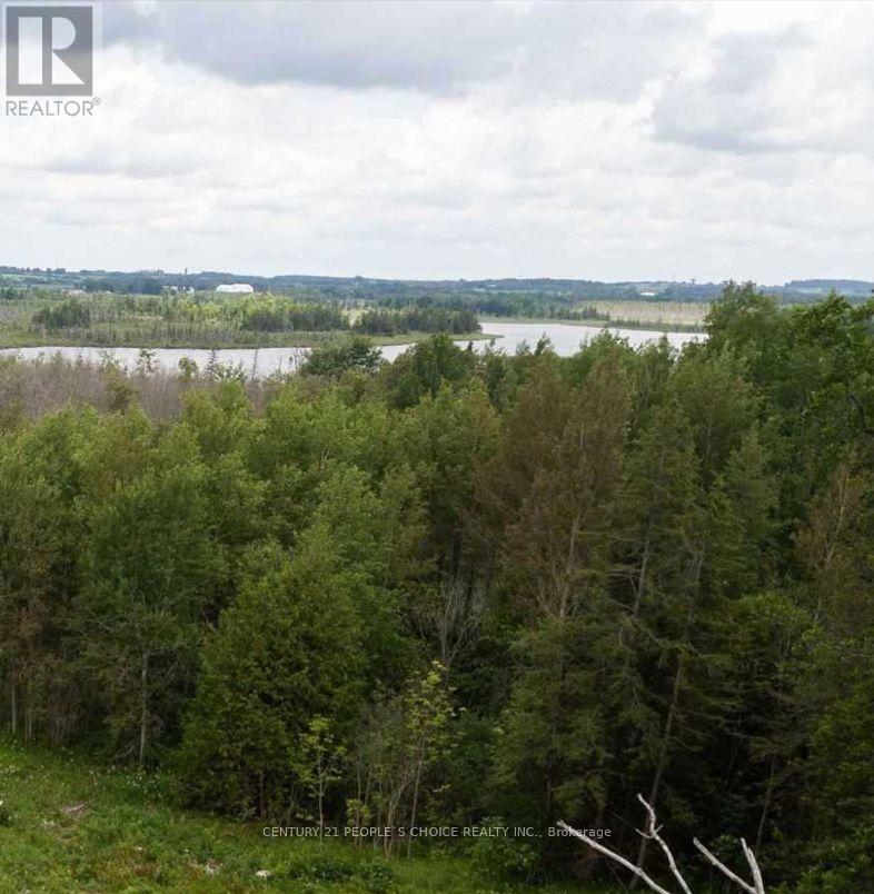 Vacant Land - 351591 17th Line Property Photo 1