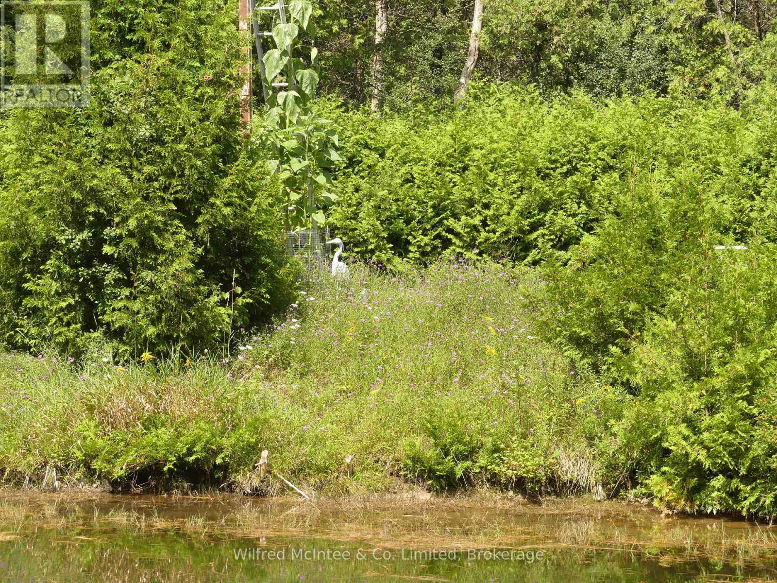 36823 Belfast Road Property Photo 25