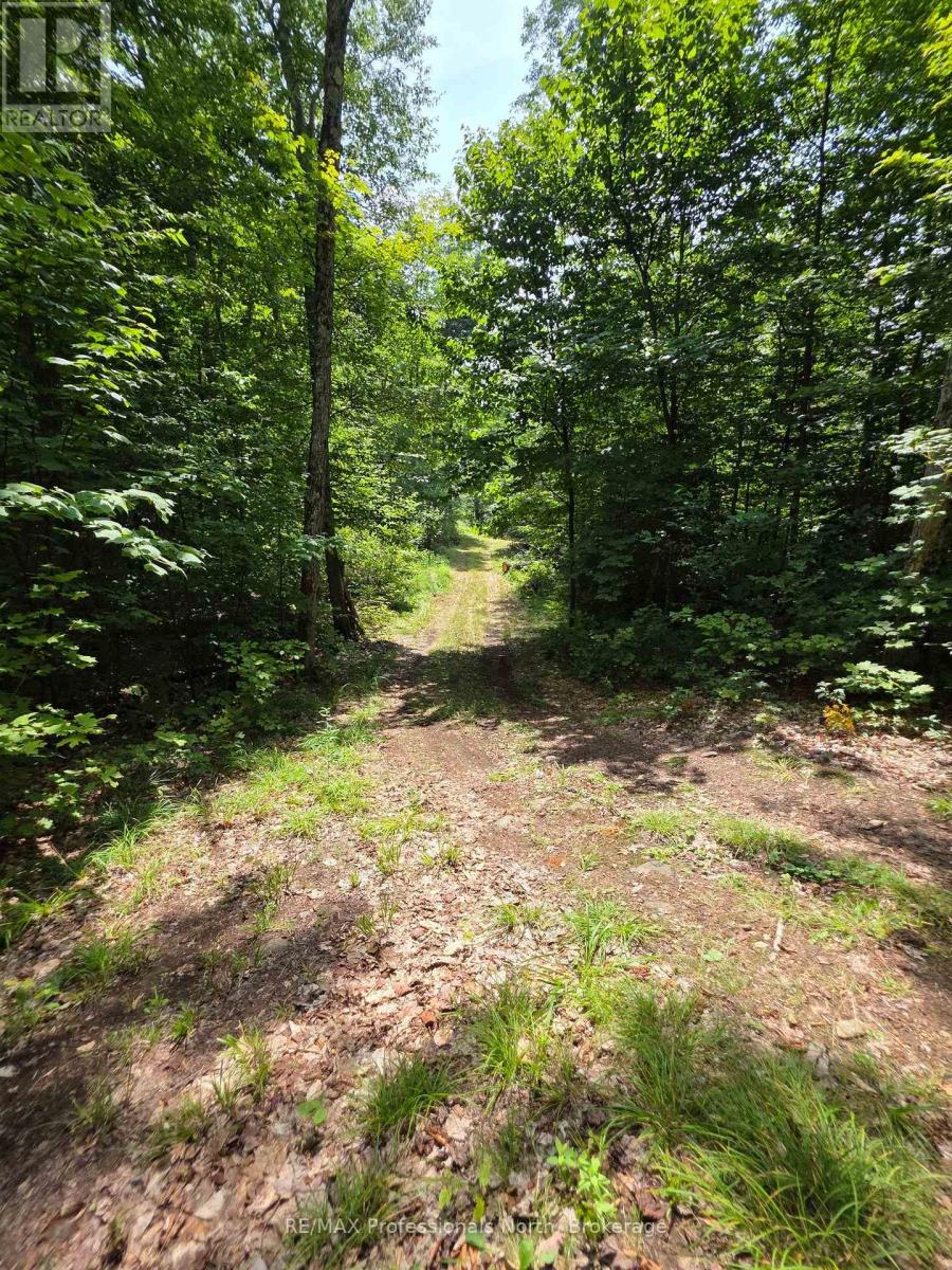 208 North Bay Lake Road Property Photo 24