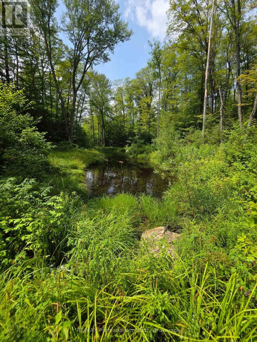 208 North Bay Lake Road Property Photo 25