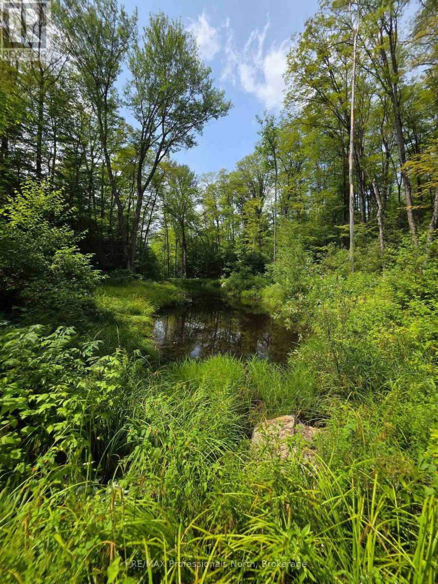 208 North Bay Lake Road Property Photo 26