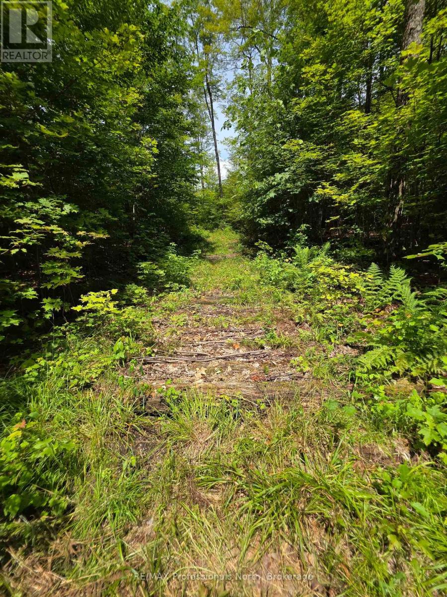 208 North Bay Lake Road Property Photo 27