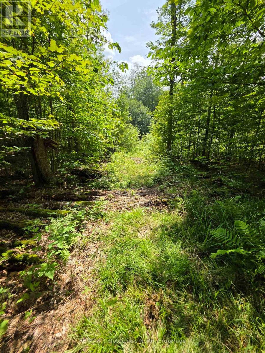 208 North Bay Lake Road Property Photo 28