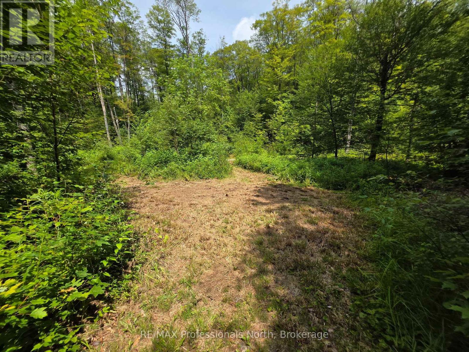 208 North Bay Lake Road Property Photo 29