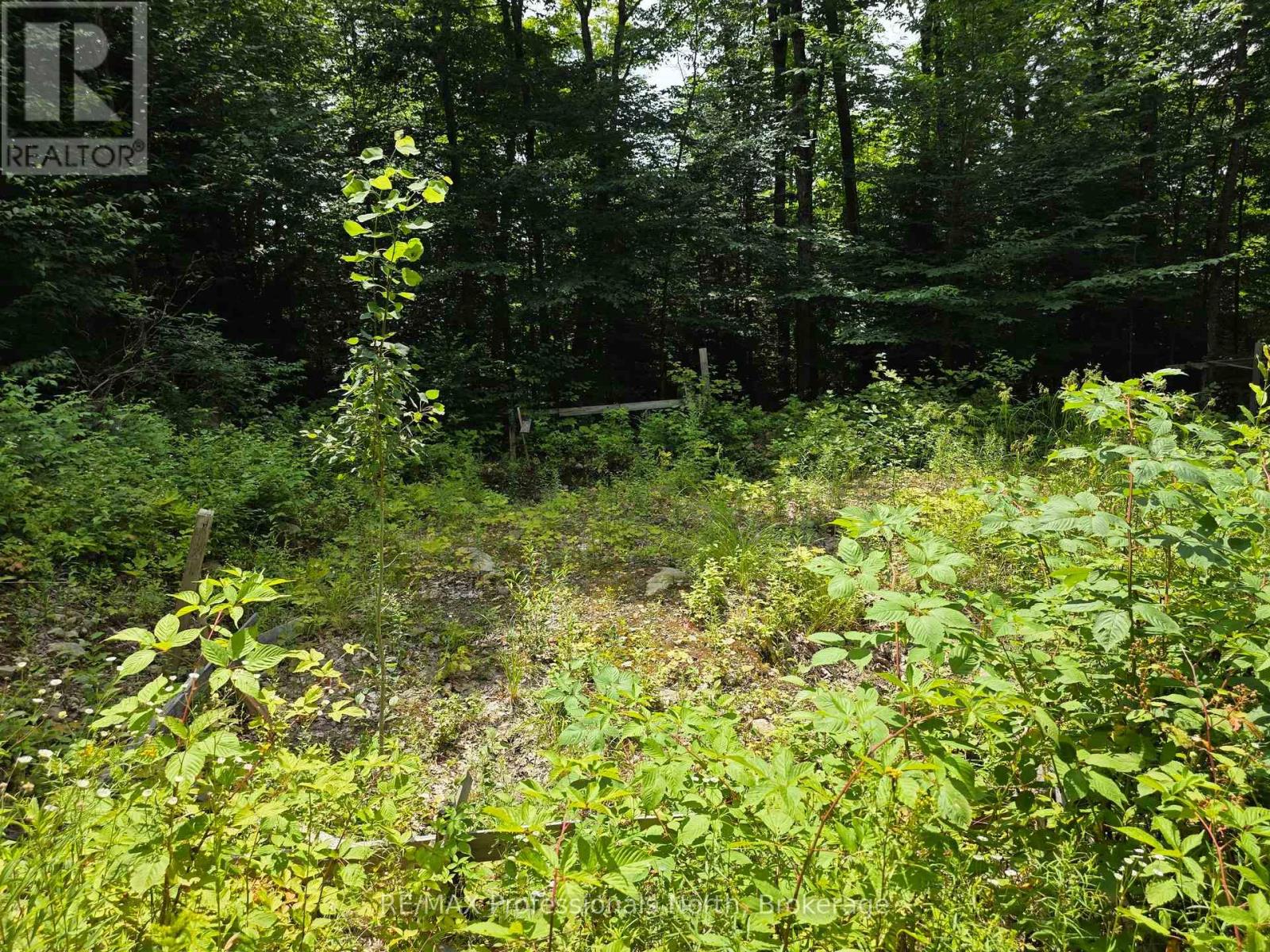 208 North Bay Lake Road Property Photo 32