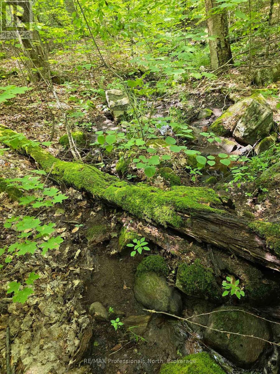 208 North Bay Lake Road Property Photo 33