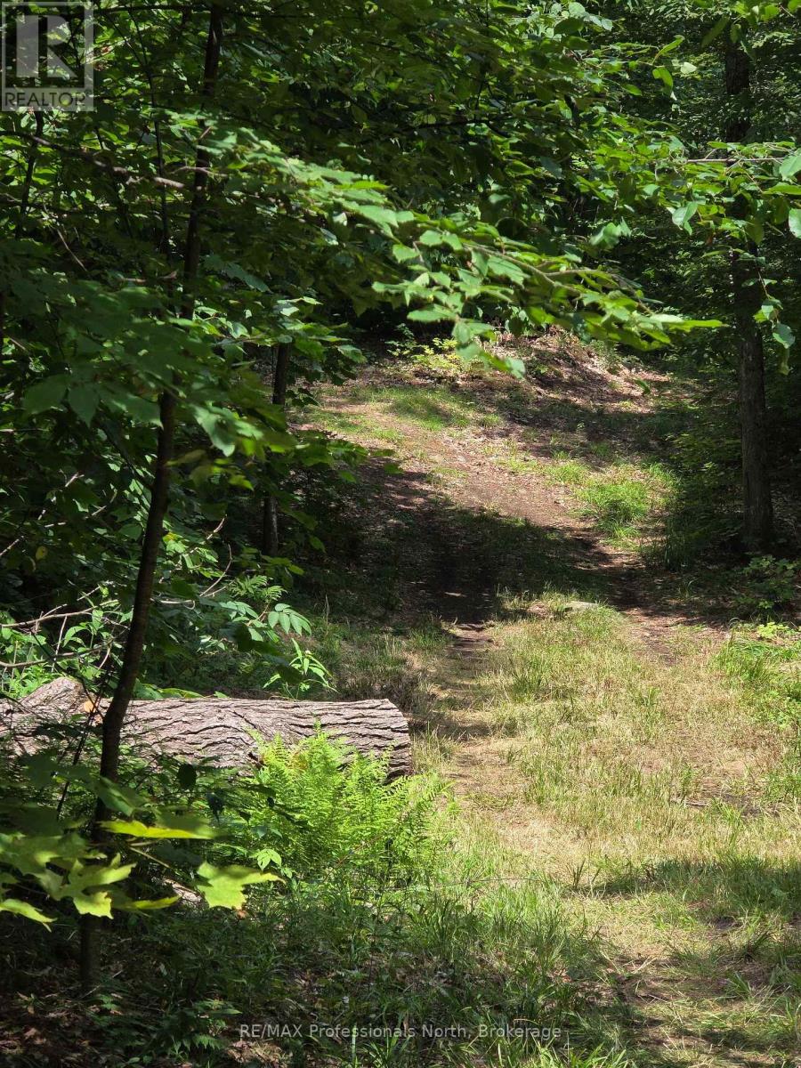 208 North Bay Lake Road Property Photo 34