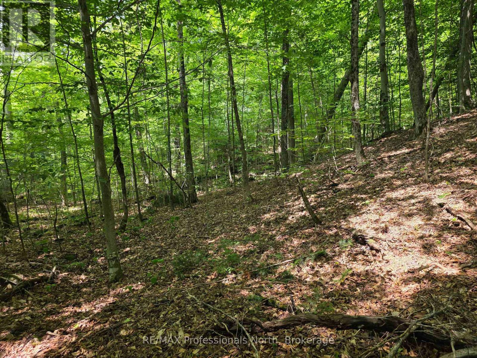 208 North Bay Lake Road Property Photo 37