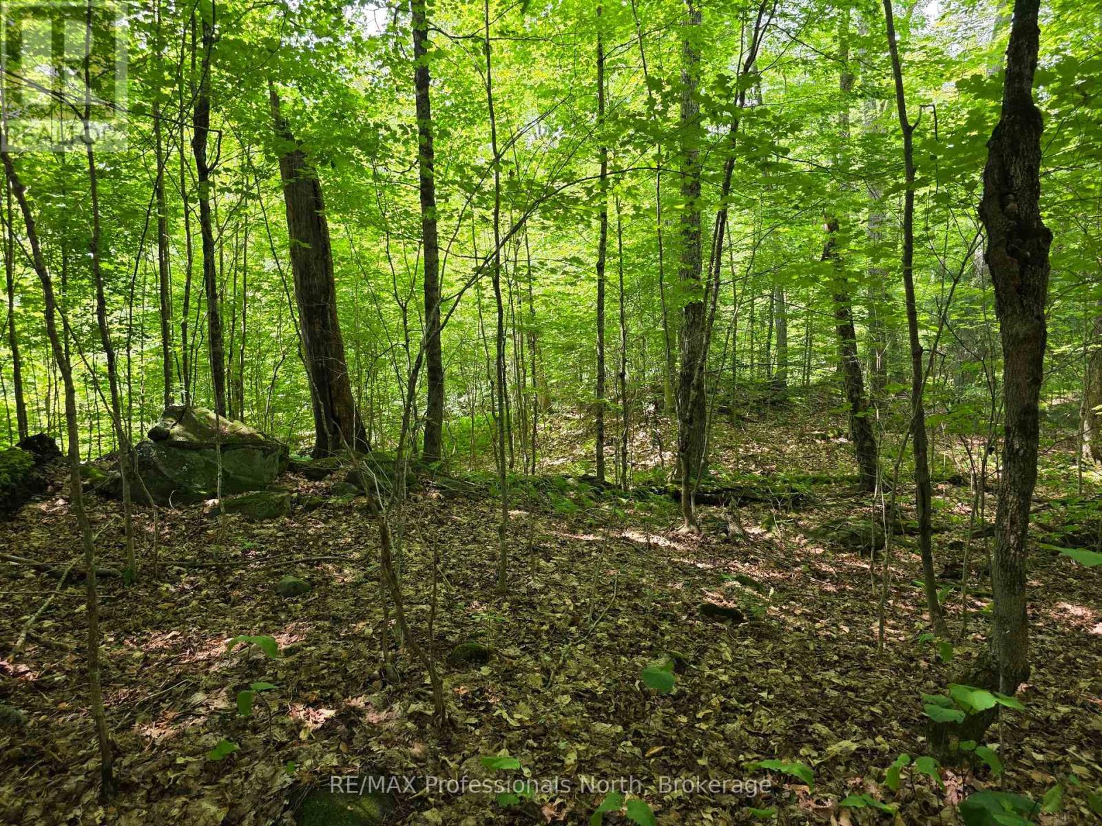 208 North Bay Lake Road Property Photo 38