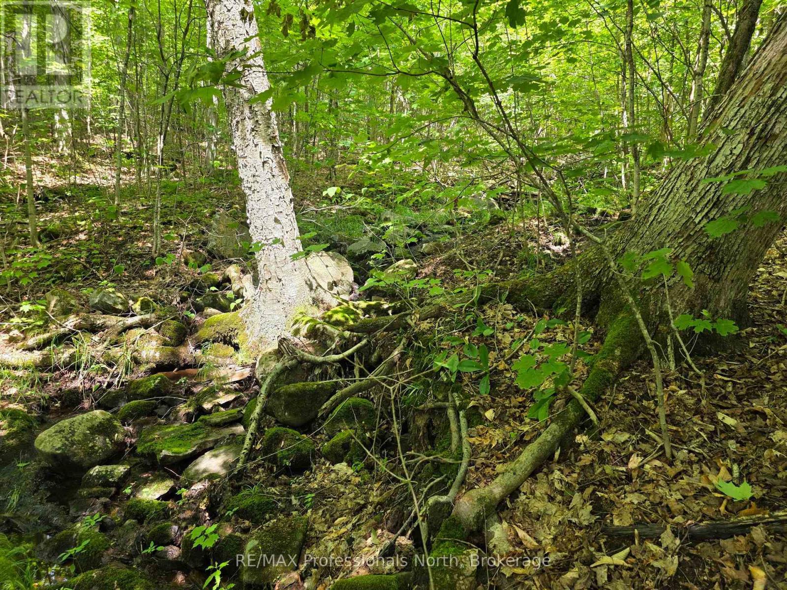 208 North Bay Lake Road Property Photo 39