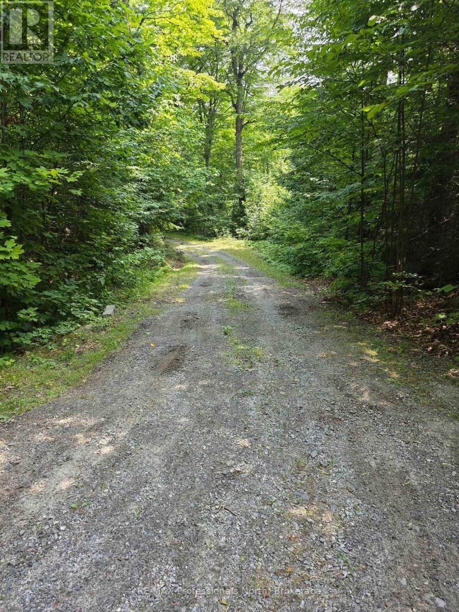 208 North Bay Lake Road Property Photo 46