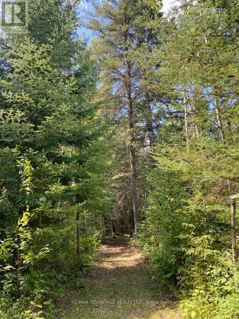 4650 Hwy 11/17 Property Photo 19