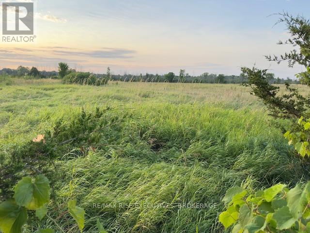 3878 County Rd 8 Property Photo 5