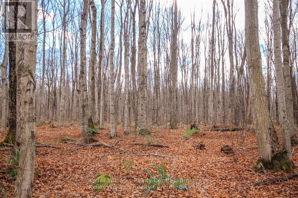 463176 Concession 24 Side Road S Property Photo 12