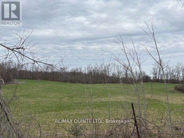 73 Keene Rd Road Property Photo 16