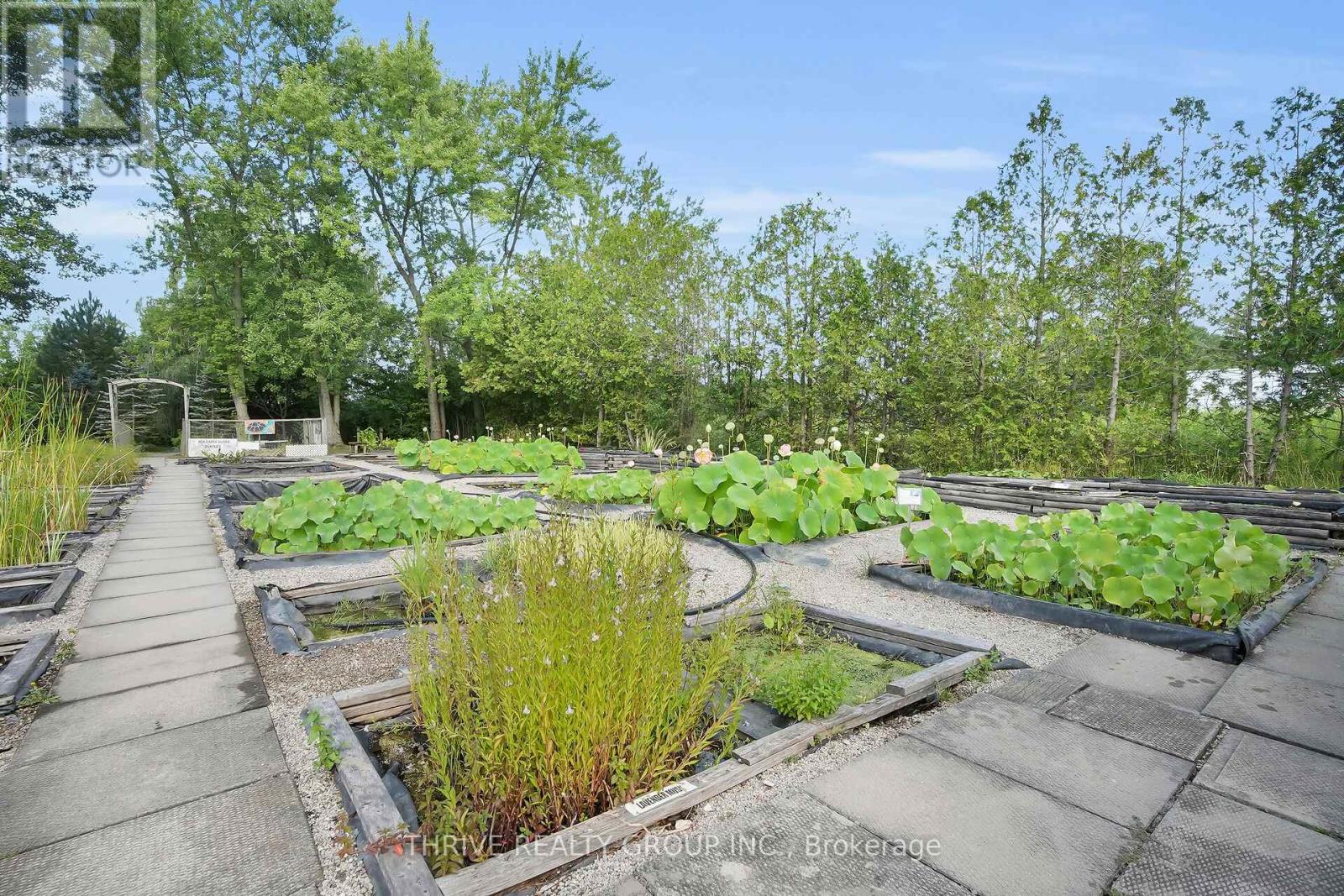 22049 Hyde Park Road Property Photo 7
