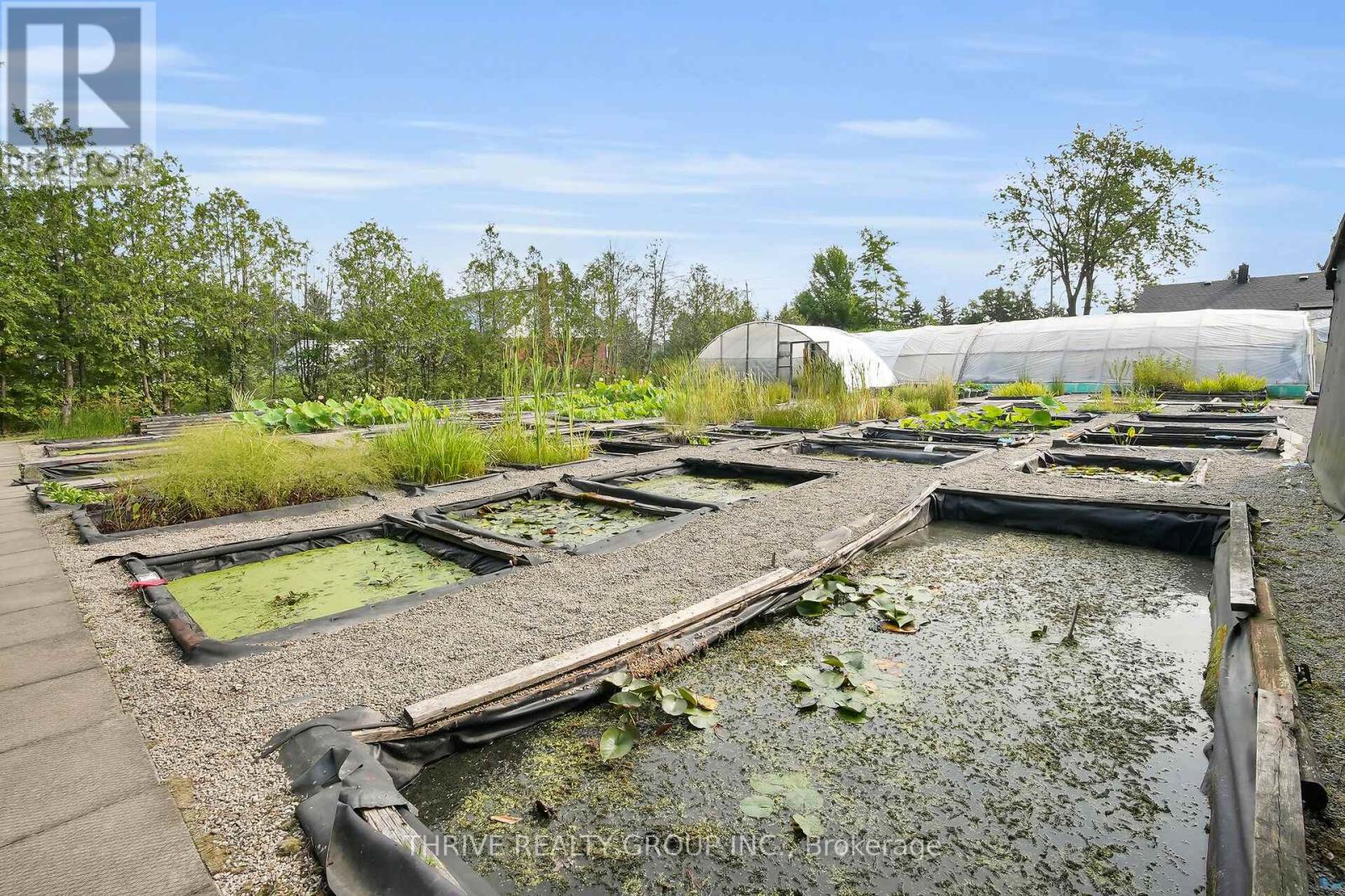 22049 Hyde Park Road Property Photo 12