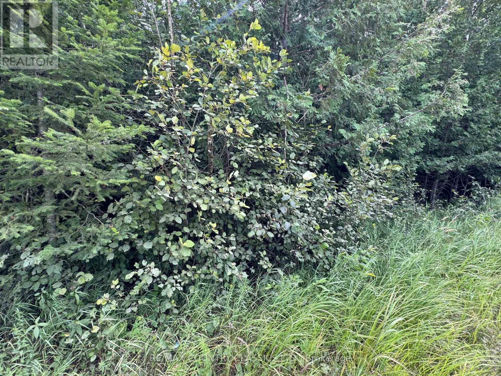 00 Schimmens Road Property Photo 1