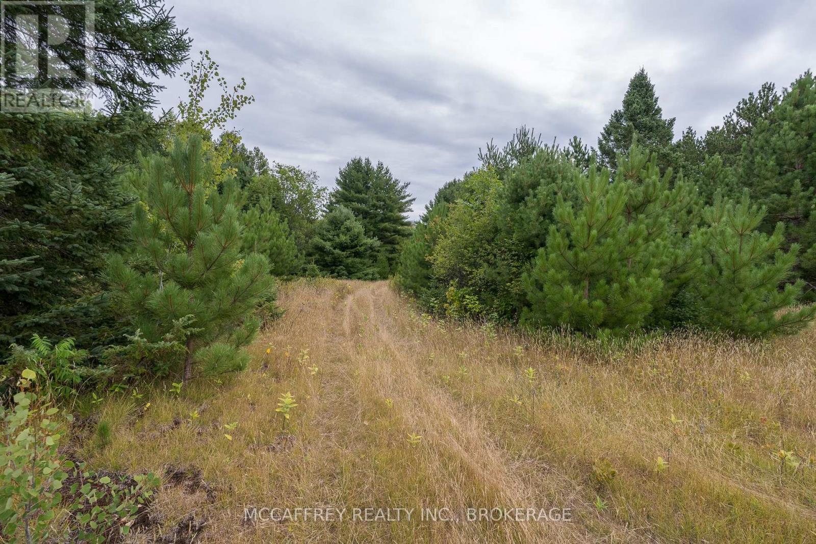 0 Flying Club Road Property Photo 40