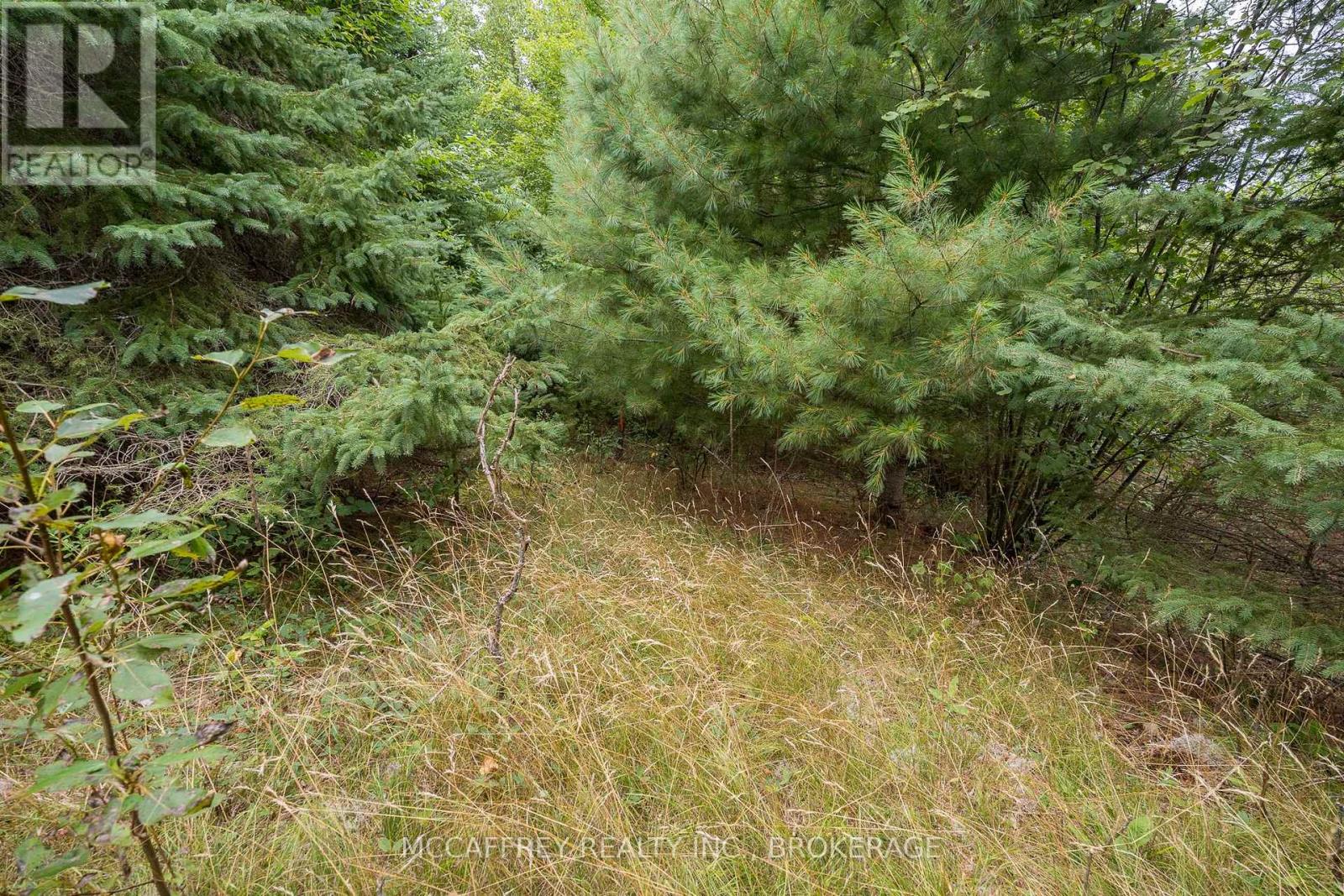 0 Flying Club Road Property Photo 42