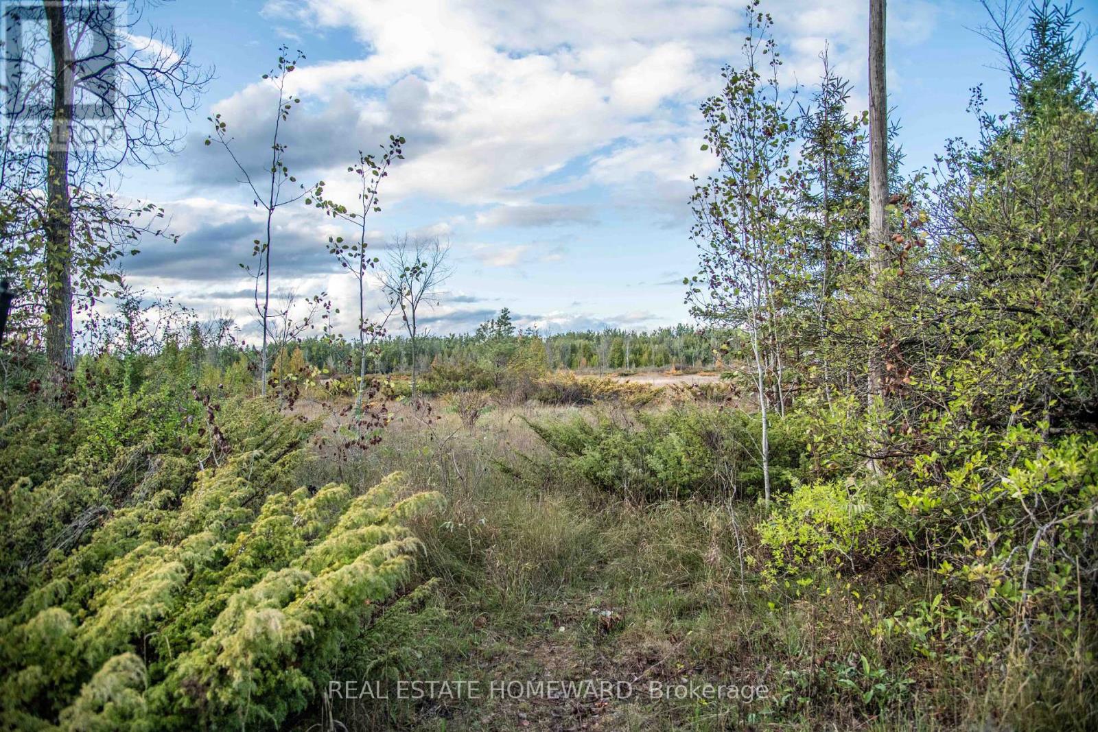 254-256 Mcguire Beach Road Property Photo 1