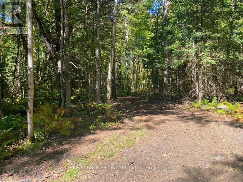 1248 Beiers Road Property Photo 5