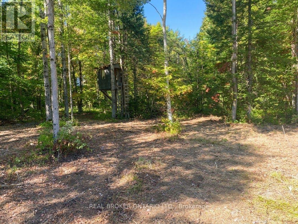 1248 Beiers Road Property Photo 6