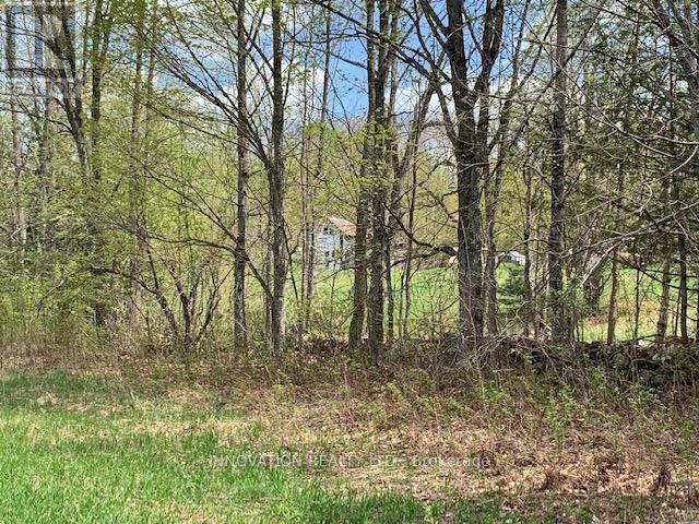 1603 Flower Station Road Property Photo 21