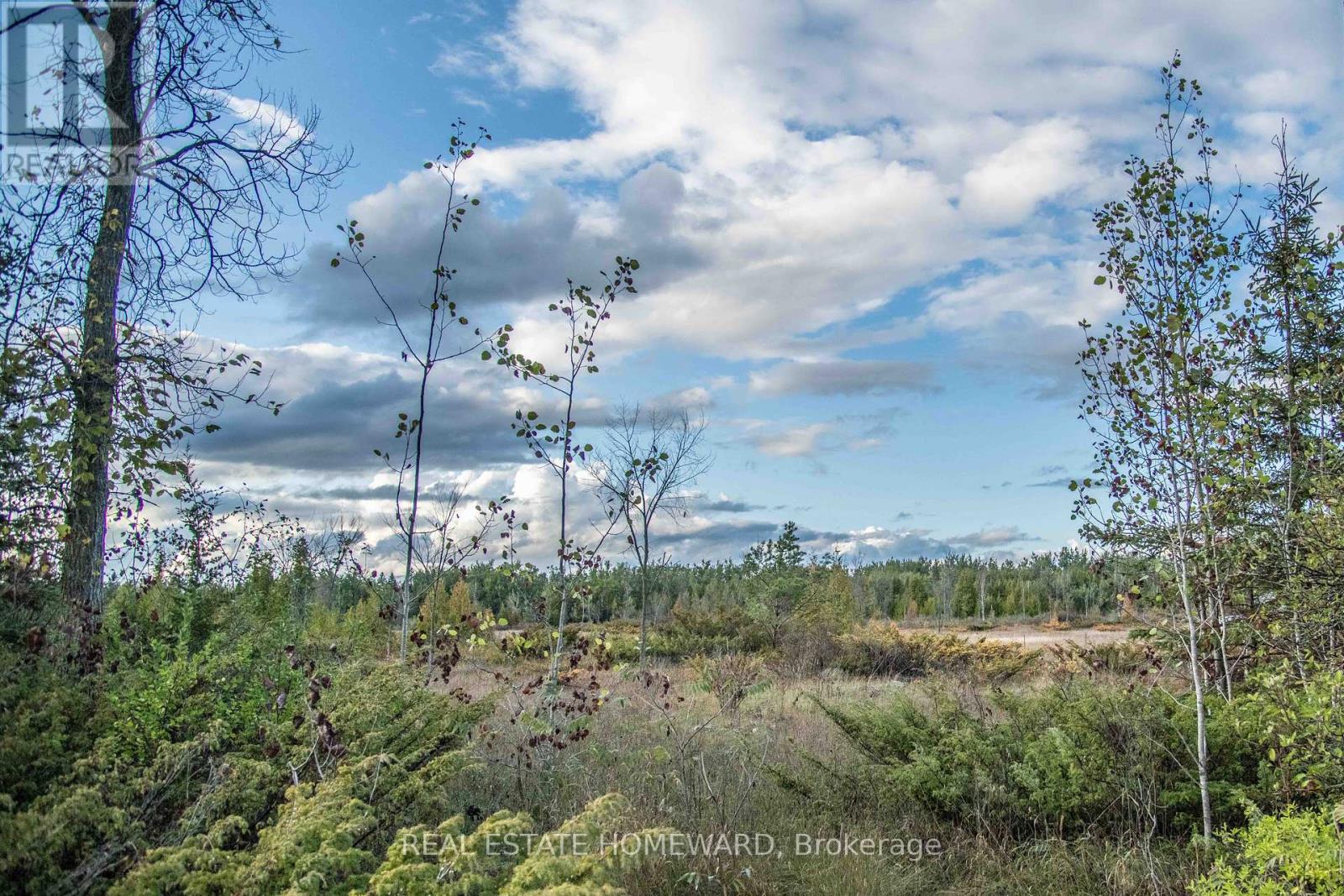 Lot 254 Mcguire Beach Road Property Photo 1