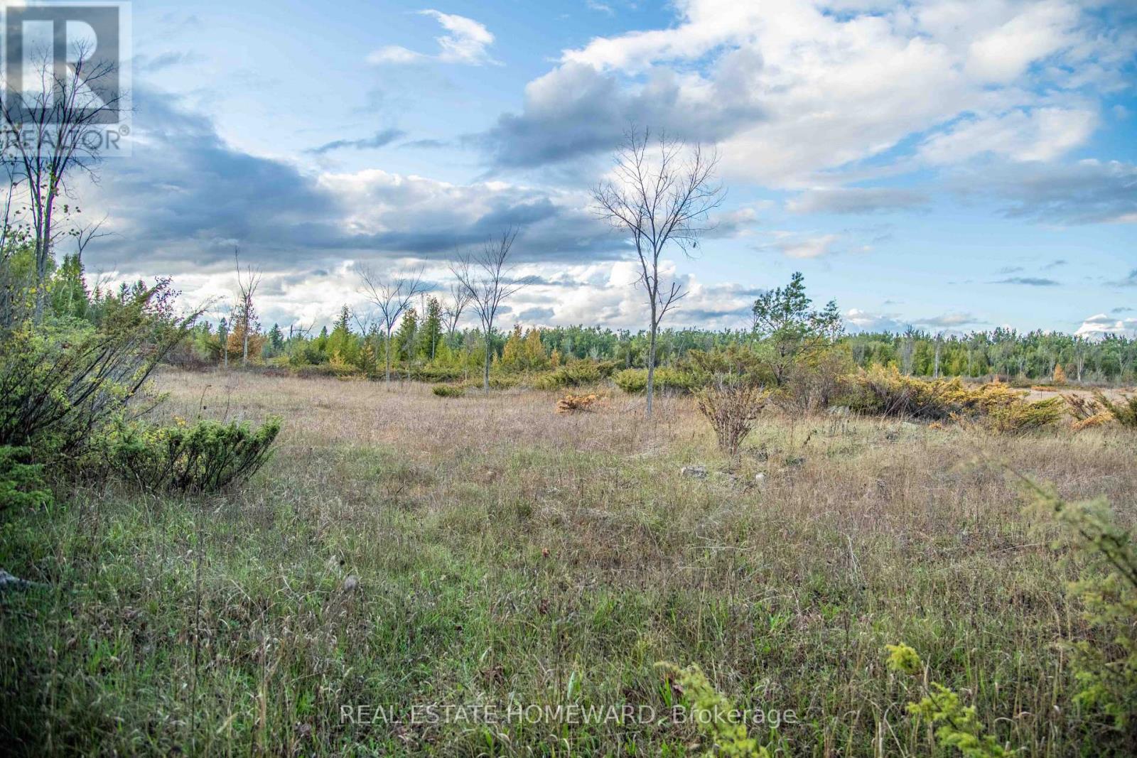 Lot 254 Mcguire Beach Road Property Photo 3