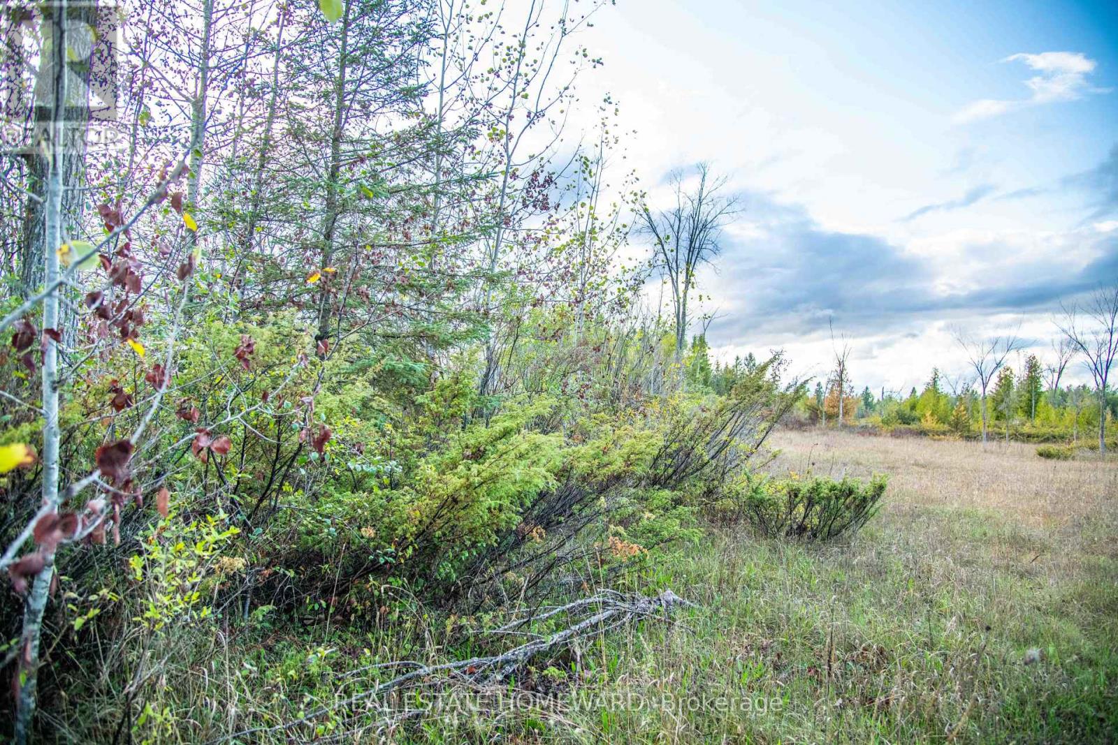 Lot 254 Mcguire Beach Road Property Photo 4