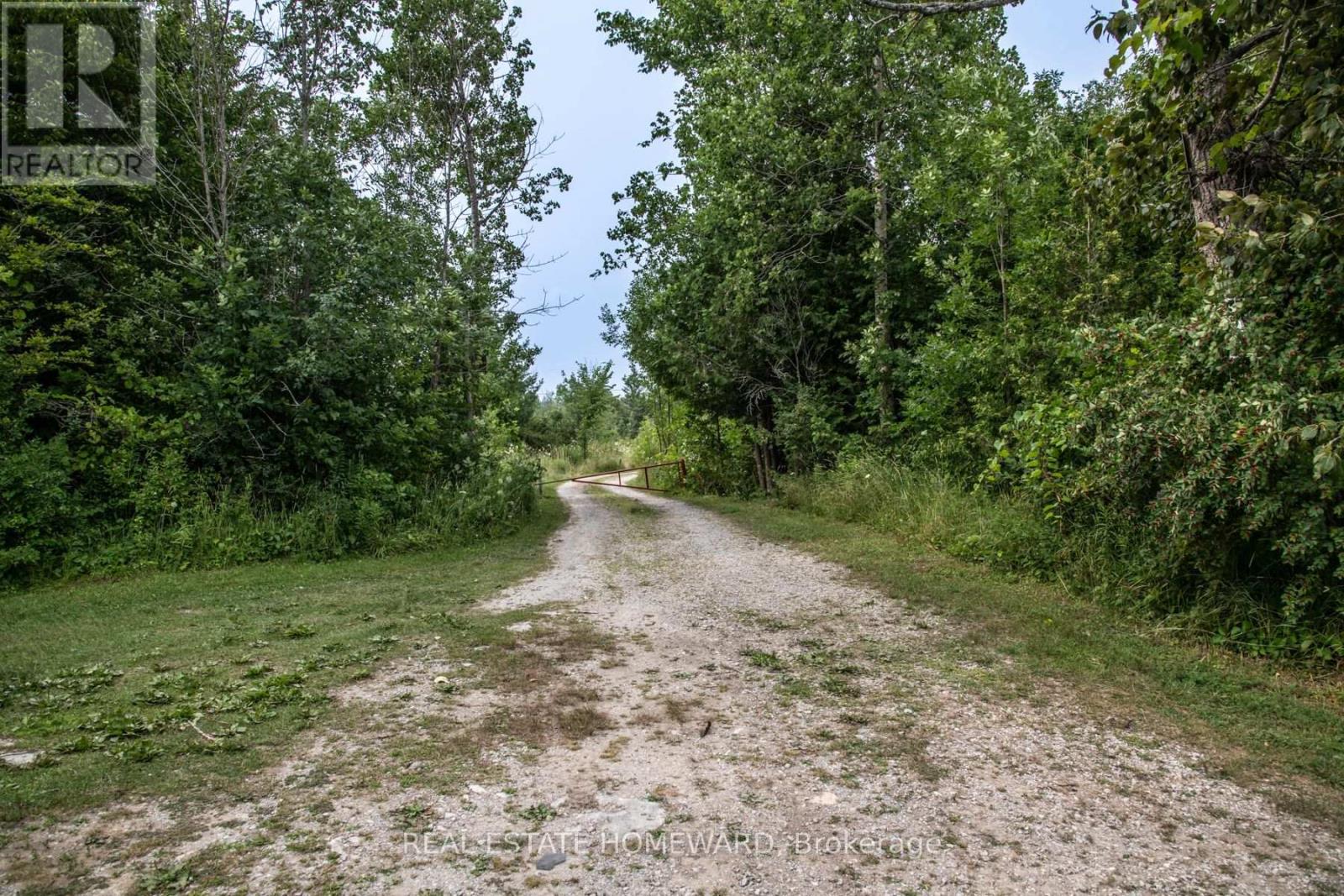 Lot 254 Mcguire Beach Road Property Photo 8