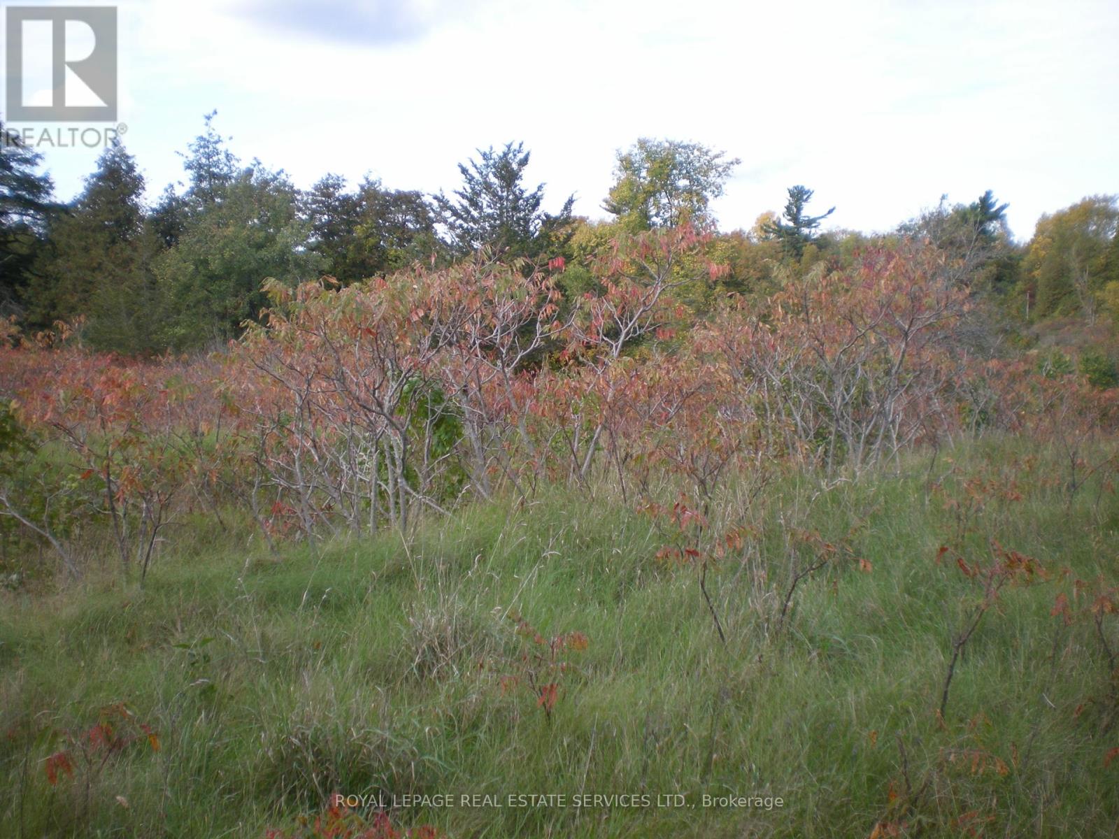 Lt 27 Pts 2&3 County Road 10 Property Photo 5
