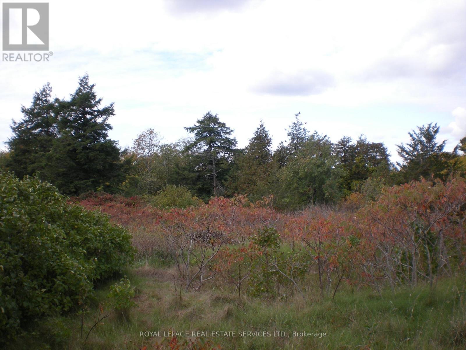 Lt 27 Pts 2&3 County Road 10 Property Photo 12