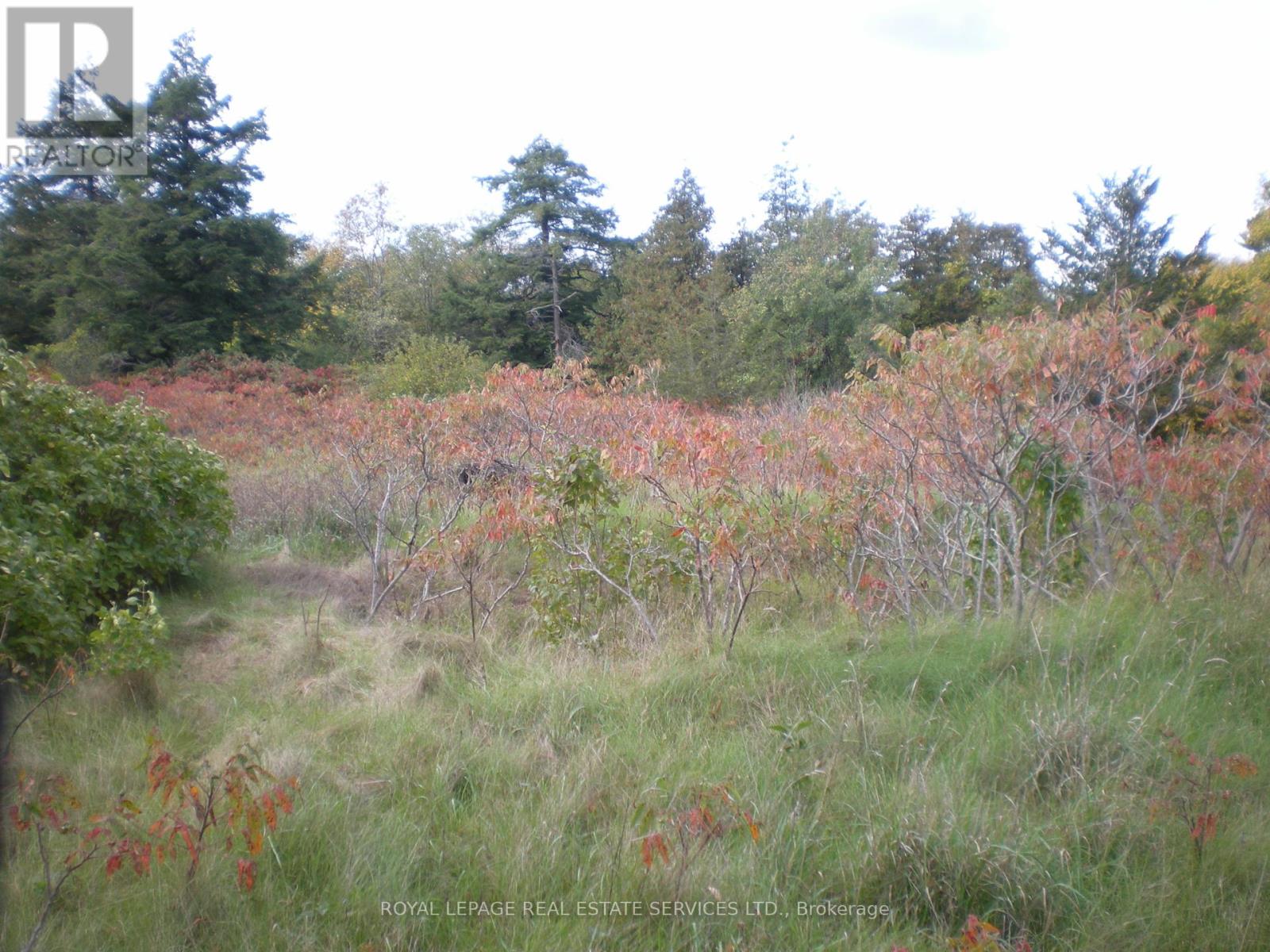 Lt 27 Pts 2&3 County Road 10 Property Photo 13