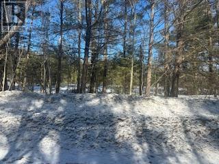 9 - Lot 18 Concession Property Photo 6