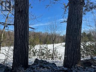 9 - Lot 18 Concession Property Photo 8