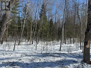9 - Lot 18 Concession Property Photo 9