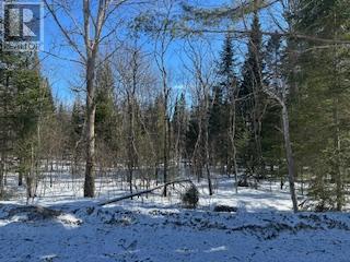 9 - Lot 18 Concession Property Photo 10