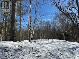 9 - Lot 18 Concession Property Photo 11