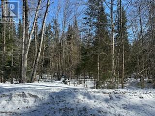 9 - Lot 18 Concession Property Photo 12