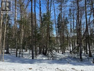 9 - Lot 18 Concession Property Photo 13