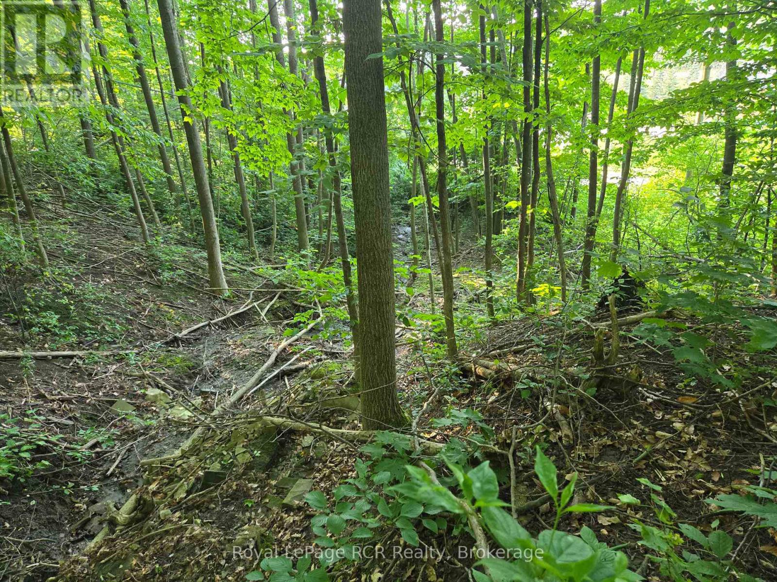 126 Old Highway 26 Highway Property Photo 5