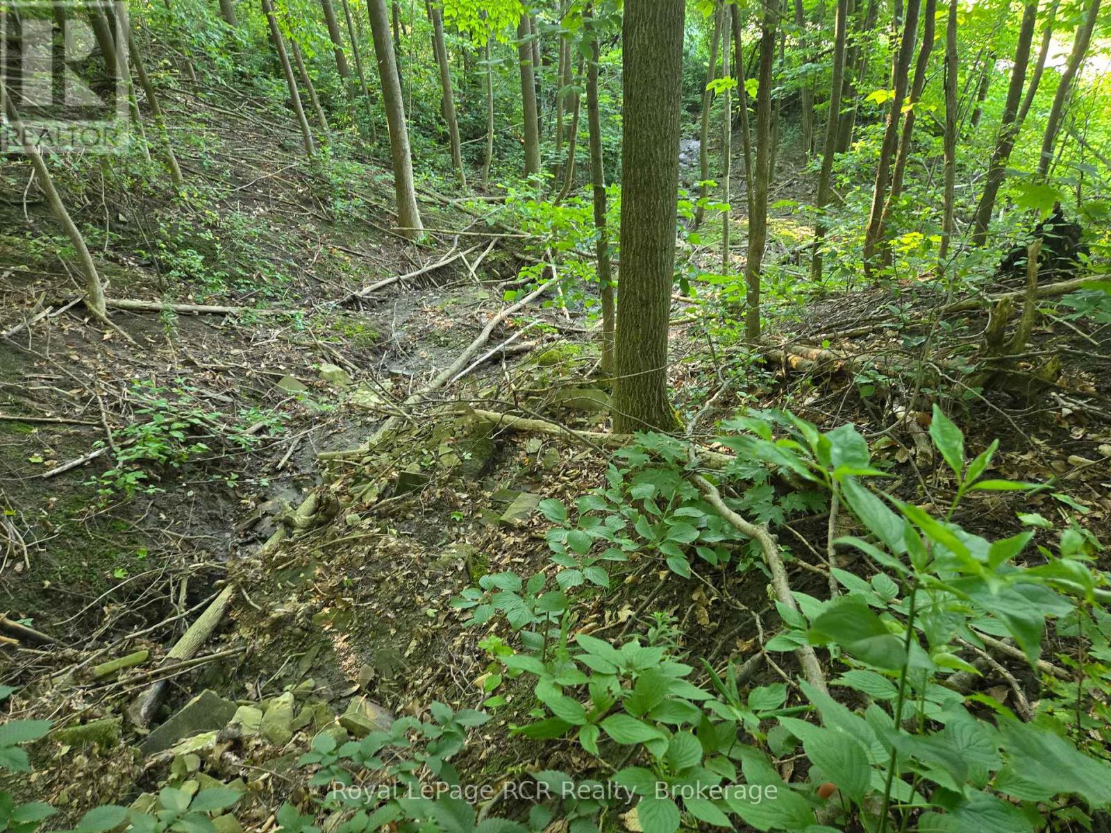126 Old Highway 26 Highway Property Photo 6