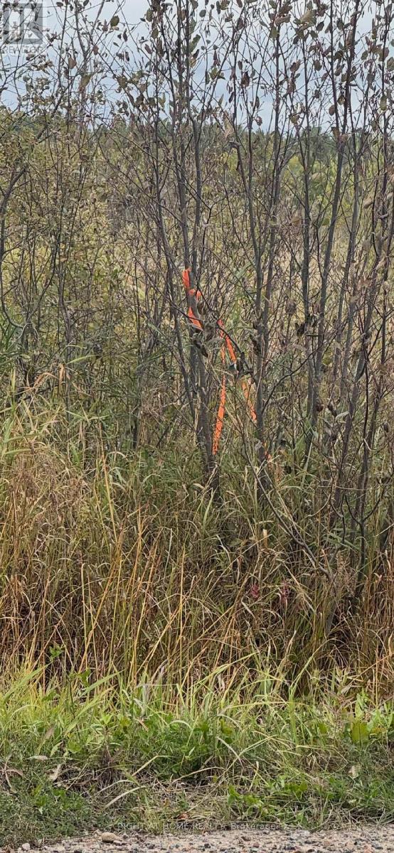 Pt 1&2 Levert Drive Property Photo 20