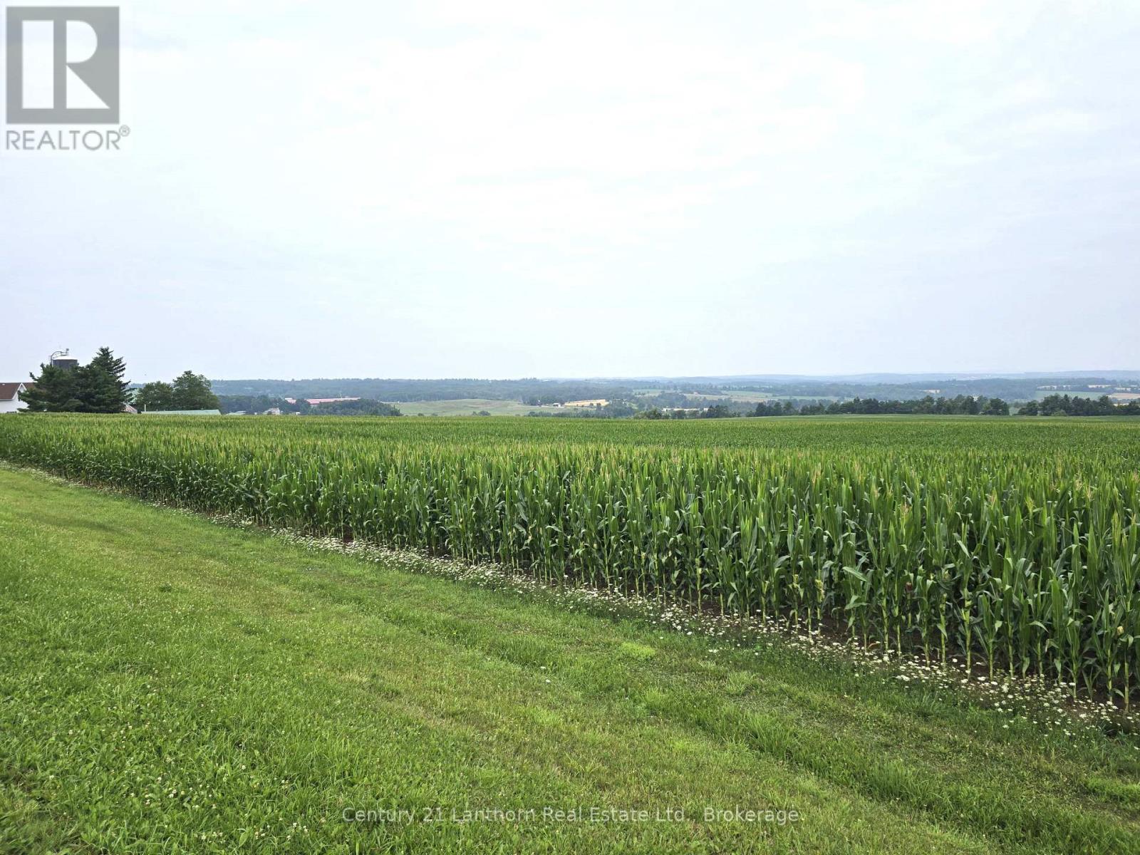 488297 30th Side Road Property Photo 2