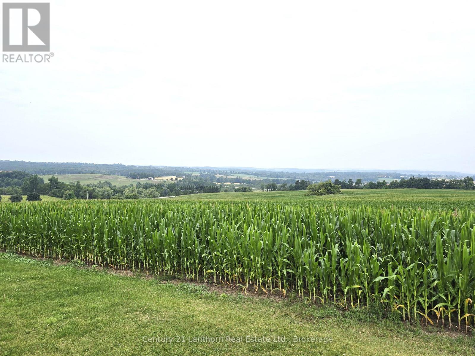 488297 30th Side Road Property Photo 4